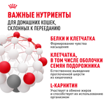 Royal Canin Indoor Appetite Control Индор Аппетайт Контрол Корм сухой для кошек живущих в помещении склонных к перееданию от 1 года до 7 лет 400г