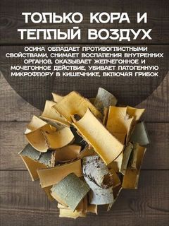 Кора осины молодая