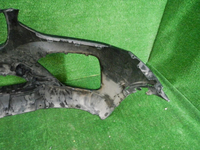 DSCN9539.JPG