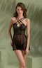 Selaginella chemise