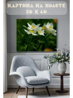 Картина на стену 40 X 50 Цветы