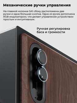 Колонки компьютерные Bluetooth FIIO SA1 (F3053S) Twilight Black