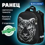 Ранец BRAUBERG SHINY, 2 отделения, "Tiger", СВЕТЯЩИЙСЯ РИСУНОК, 36х28х14 см, 270698