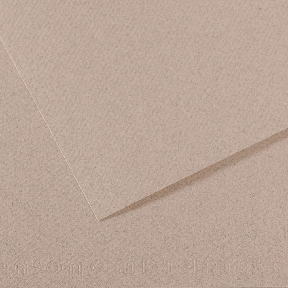 Бумага для пастели Mi-Teintes 160 г/м², 75х110 см, 10 л, №426 Серый лунный камень, Canson, C31033S164