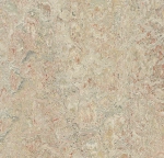 marmoleum vivace