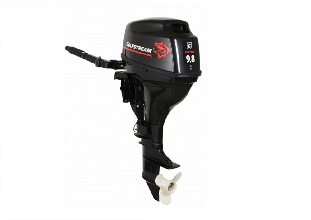 Лодочный мотор Golfstream F9.8 BMS