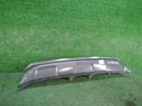 DSCN2897.JPG