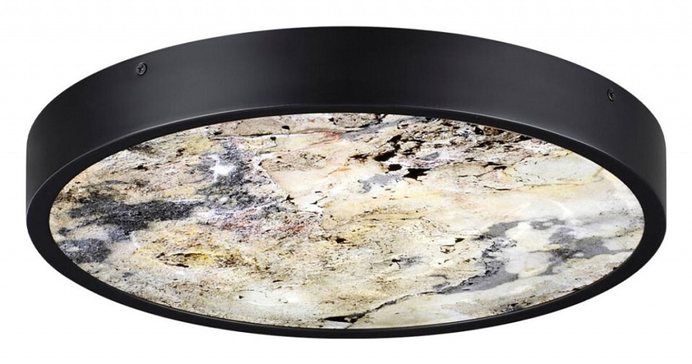 Накладной светильник Odeon Light Bergi 5064/24L