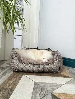 Лежанка для собак и кошек 60*45 домик для кошки