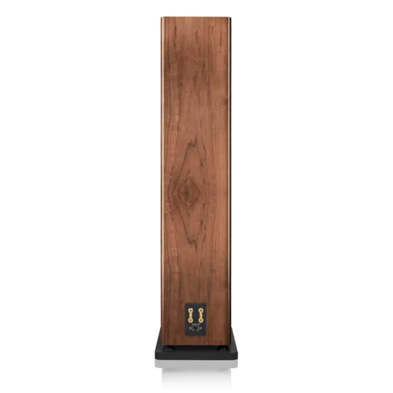 Canton Townus 100 Walnut