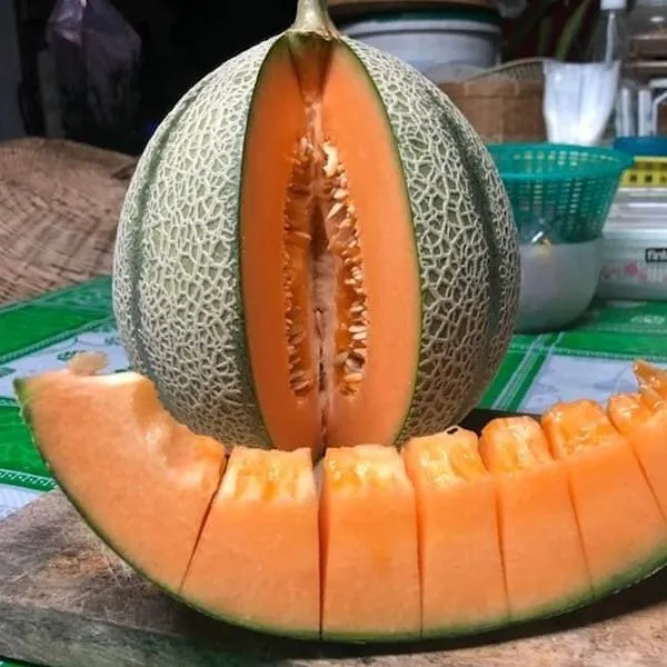 Дыня Таиланд Баскетбол — семена, 10 шт.