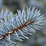 superblue_macro
