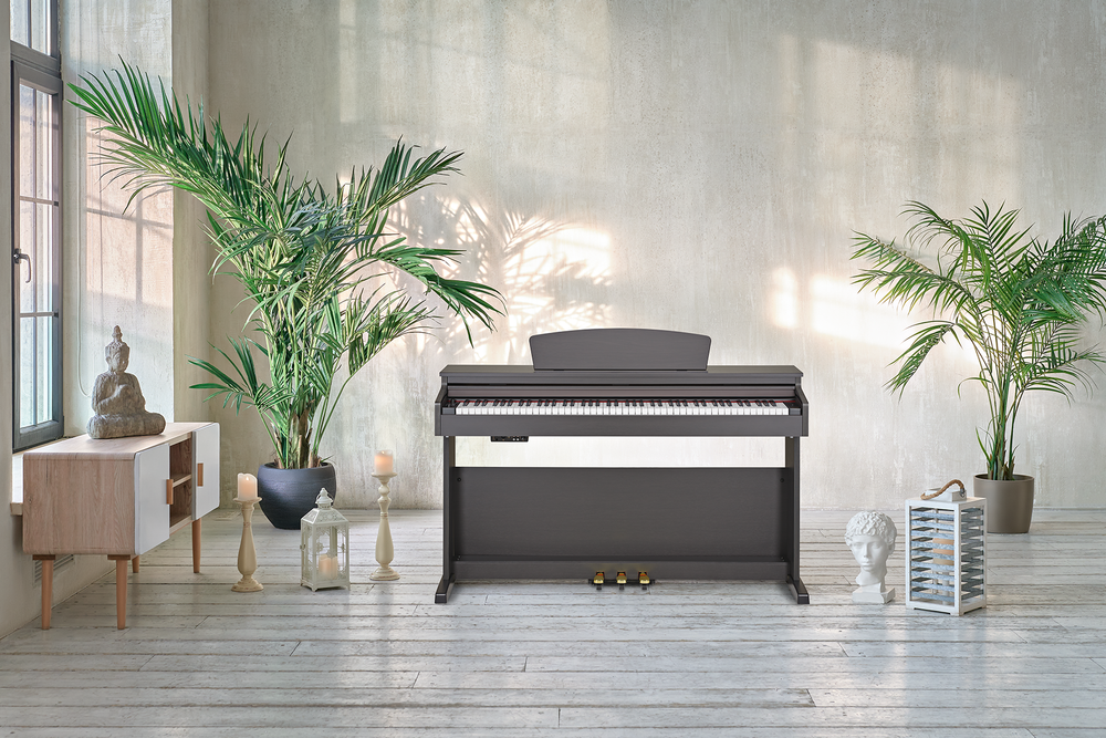 Becker BDP-82