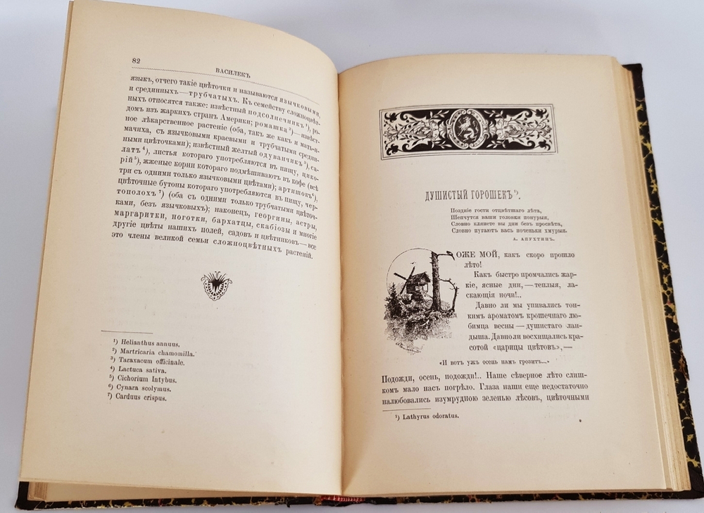"Из зеленого царства. Популярные очерки из мира растений". Д.Н.Кайгородов. 1902г. - антикварное издание