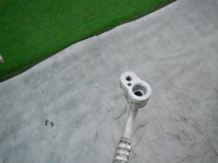 DSCN4310.JPG