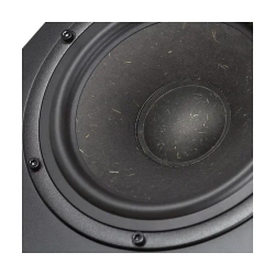 Radiotehnika Gamma 3.03 Walnut напольная профессиональная акустическая система (пара)