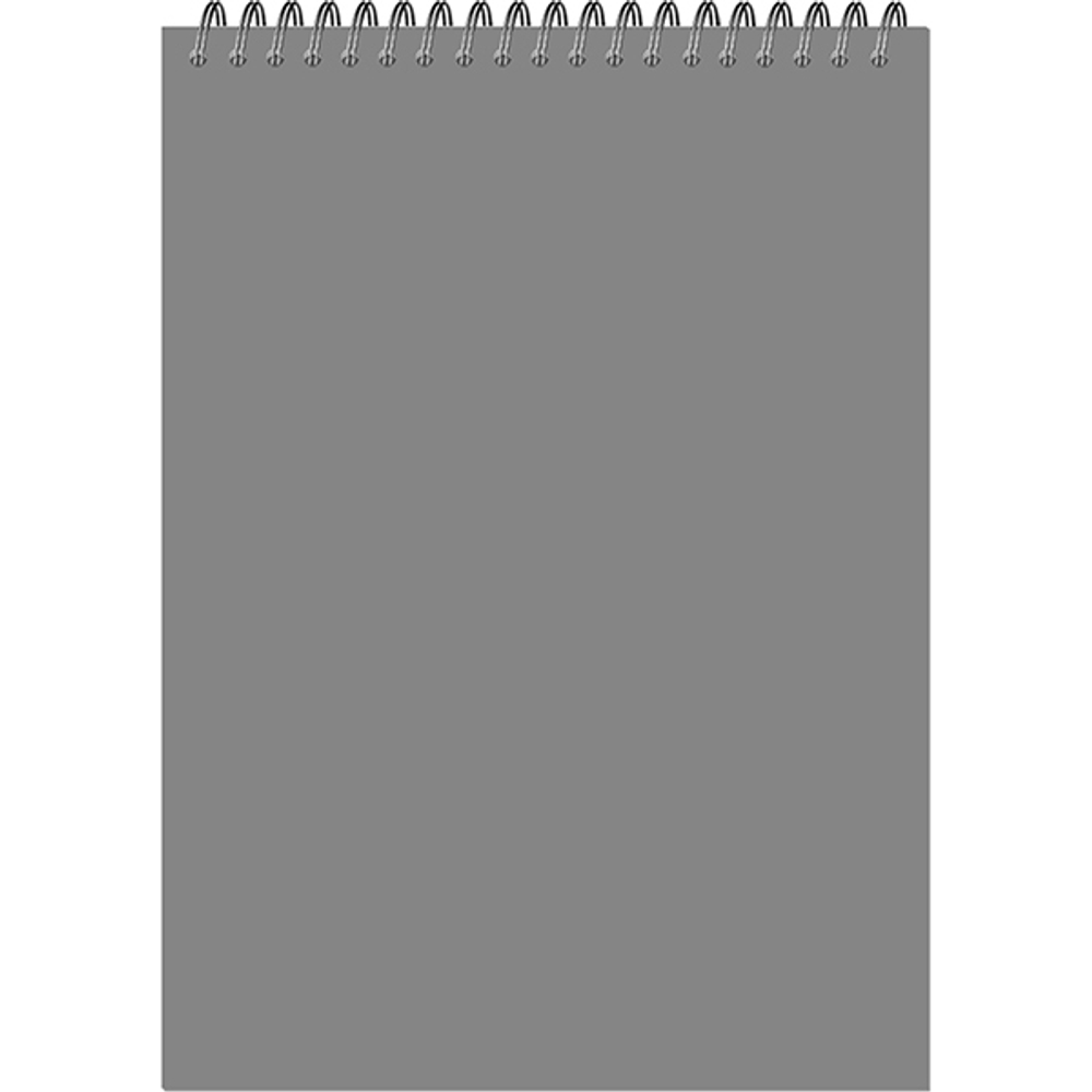 Блокнот-скетчбук Fine Line classic format Format Pastel A4 20 листов на металлическом гребне