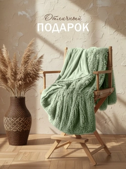 Плед евро пушистый 220х260 на диван