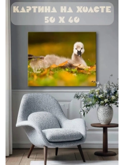 Картина на стену 40 X 50 Утка