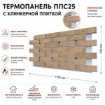 Клинкерная фасадная термопанель ППС25 Береза Керамика Акита Бежевый 1150x540