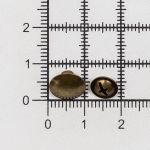 Винт кобурный металл ⌀9.0 мм, h=4.0 мм, латунь, 50 шт