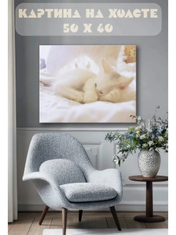 Картина на стену 40 X 50 Белый кот