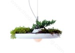 Pendant design lamp Babylon  by Greenworks
