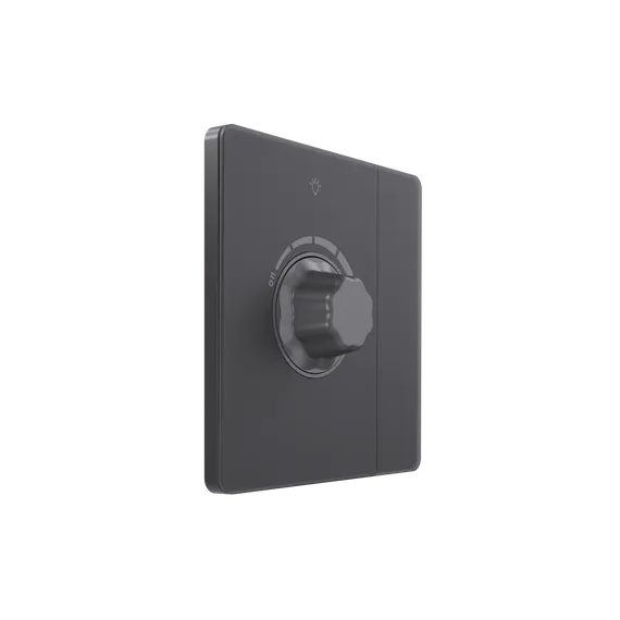 Светорегулятор TRIAC с выключателем, 300 Вт Systeme Electric Infinity Вулканический пепел FSE000721