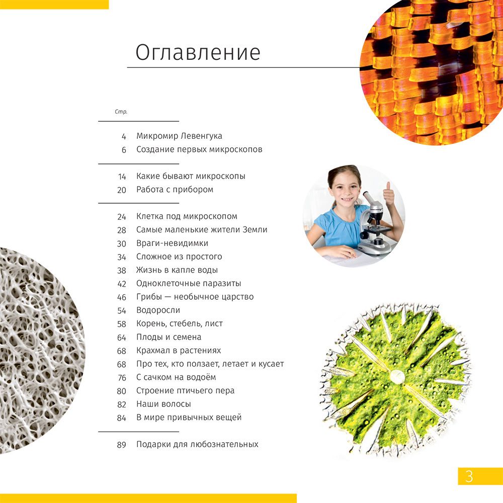Микроскоп Levenhuk Discovery Nano с книгой