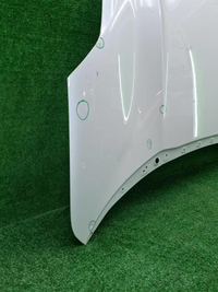 Капот Zeekr 001 (2021-н.в.)