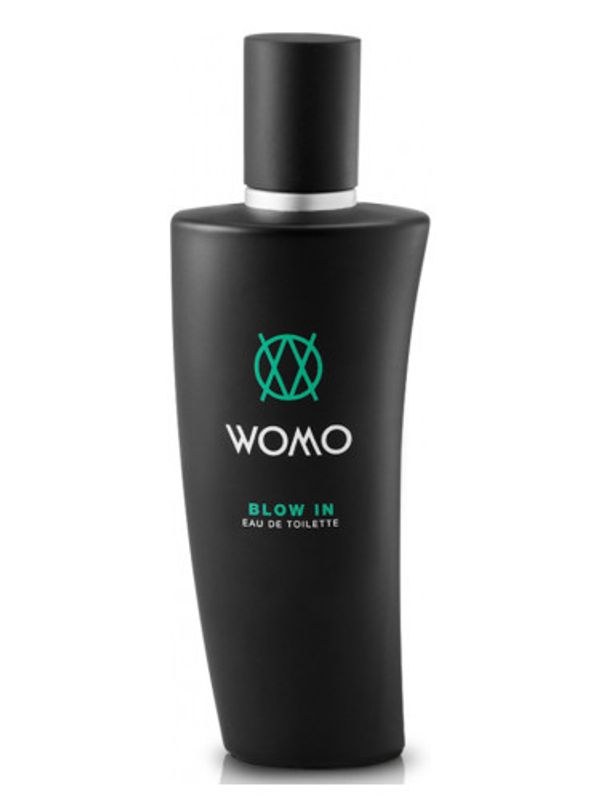Womo Blow In