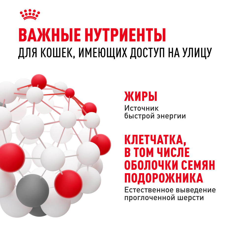 Royal Canin Fit 32 Корм сухой сбалансированный для взрослых умеренно активных кошек от 1 года - 2 кг