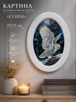 Картина на холсте в овальной раме «Совы» 27*37 см
