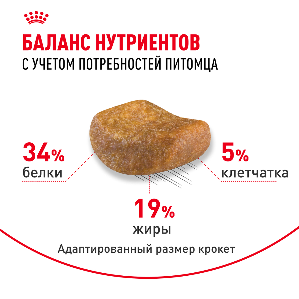 Royal Canin British Shorthair Adult Британская короткошерстная Эдалт Корм сухой для взрослых британских кошек 10кг