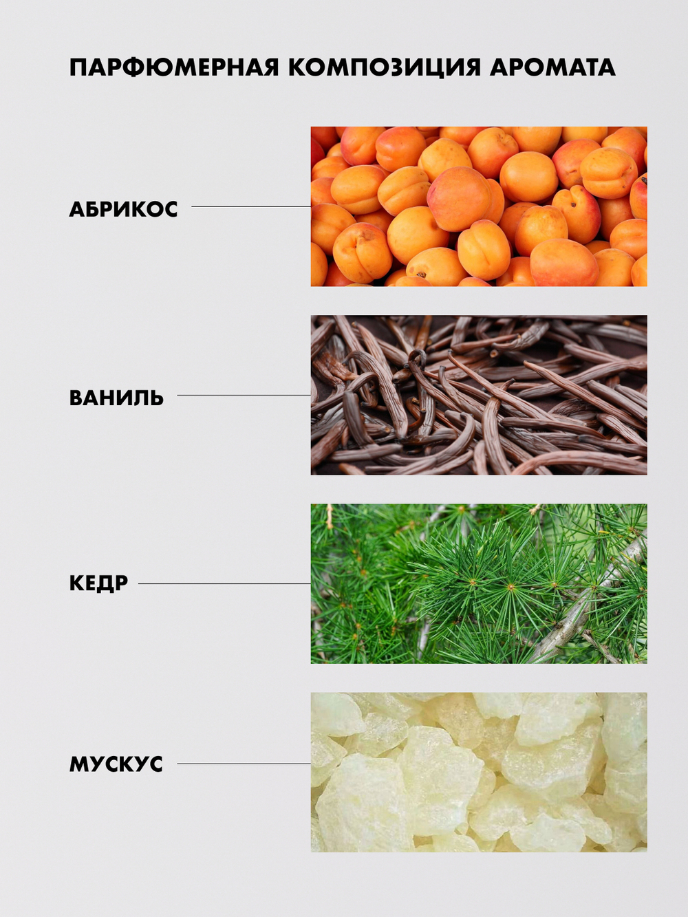 Ароматический диффузор для дома с палочками Vanilla Blend (Ванильная смесь)