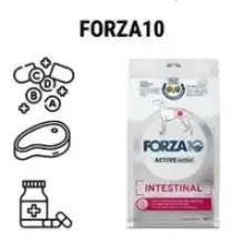 Forza10 -20%