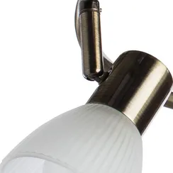 Спот Parry A5062PL-3AB Arte Lamp