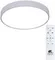 Потолочный светильник Arena A2661PL-1WH Arte Lamp