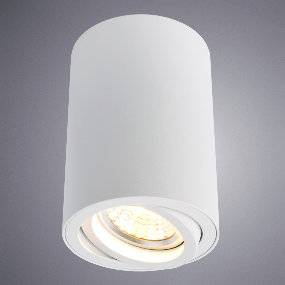 Светильник потолочный Arte Lamp Sentry A1560PL-1WH