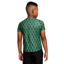 Футболка для мальчика теннисная Nike Court Dri-Fit Victory SS Top Printed - gorge green/white
