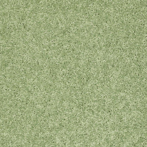 Ковровое покрытие Shaw Floors Kid Crossing 330