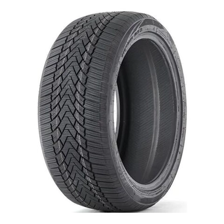 Зимняя шина Fronway Icemaster I (215/55 R18 99H)