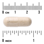 Swanson Vitamins, Лиофилизированное вещество для костного мозга, 500 мг, 60 капсул