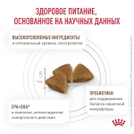 Сухой корм Royal Canin Gastrointestinal 350г