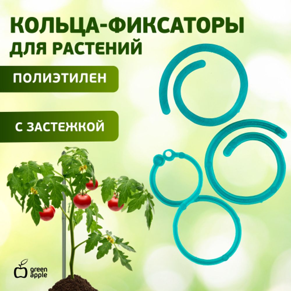 GPCR-2 GREEN APPLE Кольцо фиксатор цепочка | GREEN APPLE