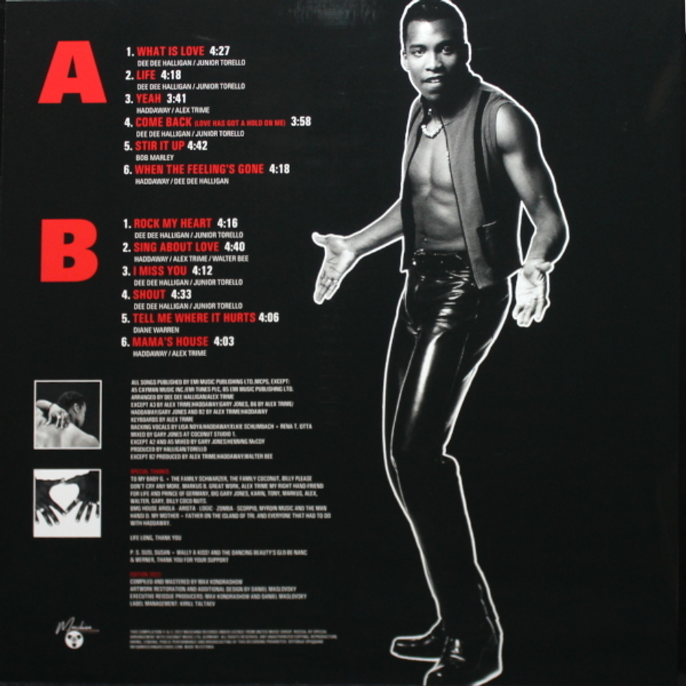 Haddaway / The Album (Limited Edition)(Coloured Vinyl)(LP)