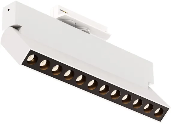 Трековый светильник Points Rot TR224-1-12WCCT-M-W Maytoni