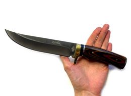 Сталь 50Х14МФ