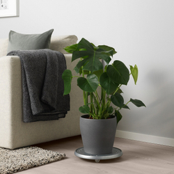 IKEA PERSILLADE  (ИКЕА ПЕРСИЛЛАДЕ)  -  Простыня, темно-серая, 19 см