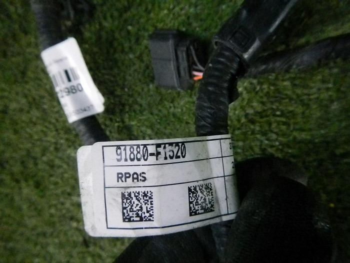 DSCN1130.jpg